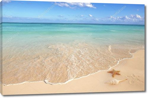 Песок с морской звездой