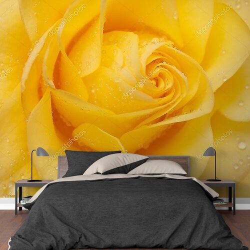 Красивые желтые розы крупно