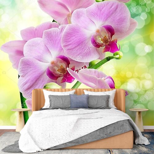 Орхидея розовая на зеленом фоне