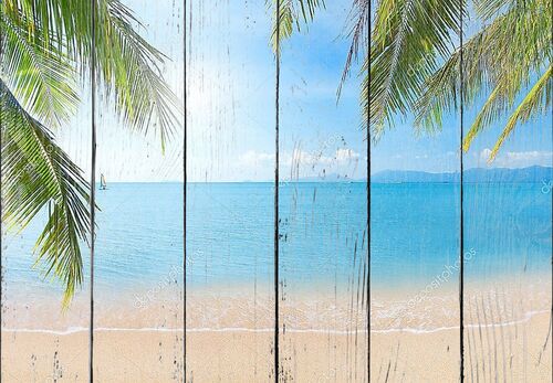 Пляж с кокосовыми пальмами