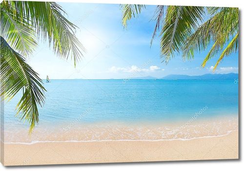 Пляж с кокосовыми пальмами