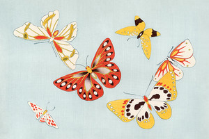 Иллюстрация XVI из книги Тысяча бабочек