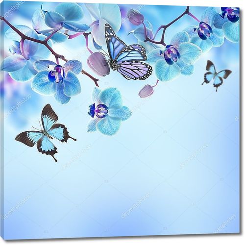 Фон с синими орхидеями и бабочками
