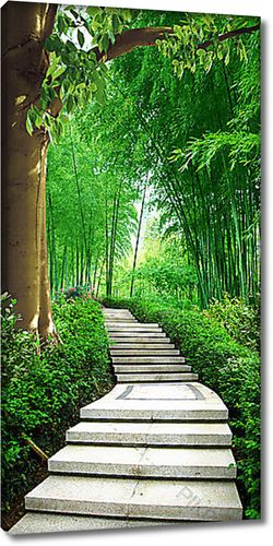 Ступенчатая тропа среди бамбука