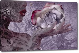 Абстракция девушка с розой в каплях воды на ладони