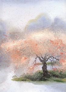 Цветущее дерево возле реки