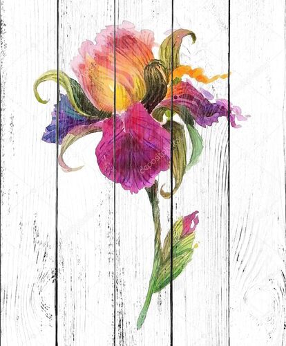 Вітальна листівка з днем народження з аквареллю Ірис квітка
