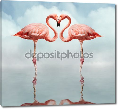 Розовые фламинго, стоят в форме сердца