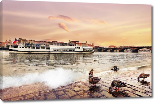 Утки на набережной реки Праги
