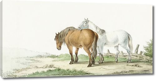 Коричневая и белая лошадь на дороге рядом с забором