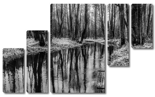 Живописные весеннего леса и реки. Черно белые фото.