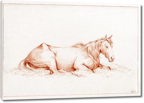 Лошадь, лежащая в траве