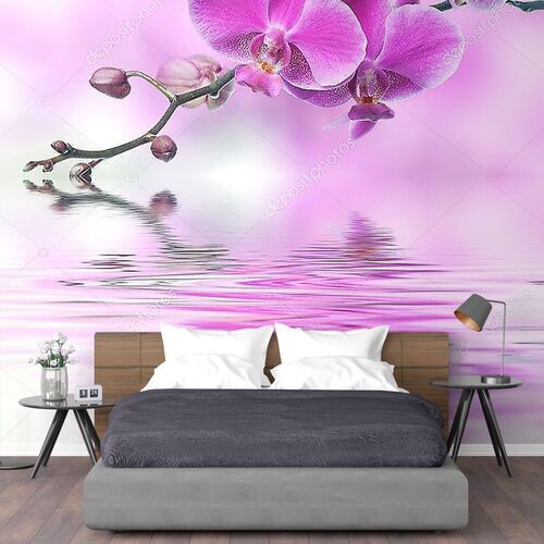 Цветы орхидеи, отражение в воде