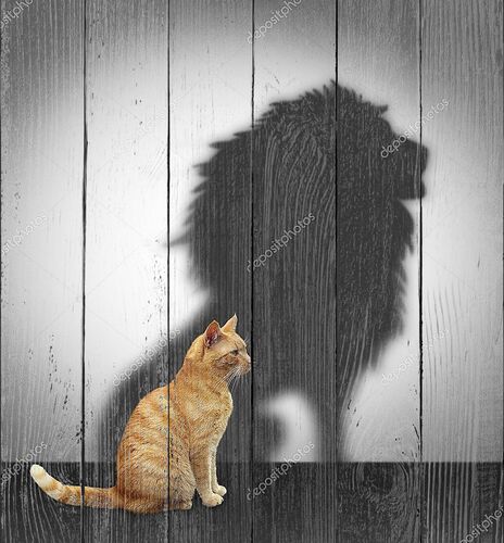 Кошка с тенью льва