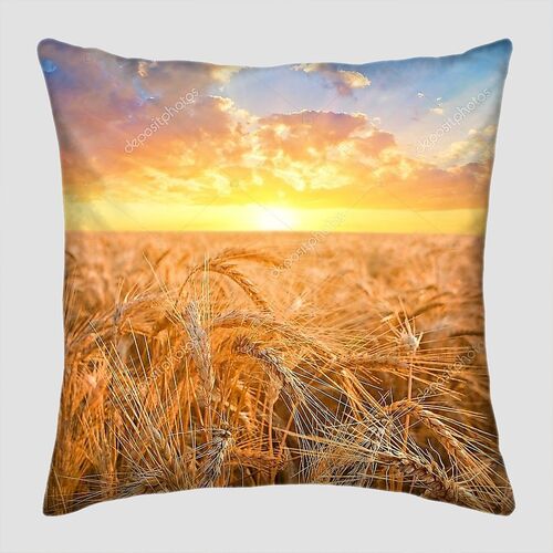 Восход солнца среди поля пшеницы