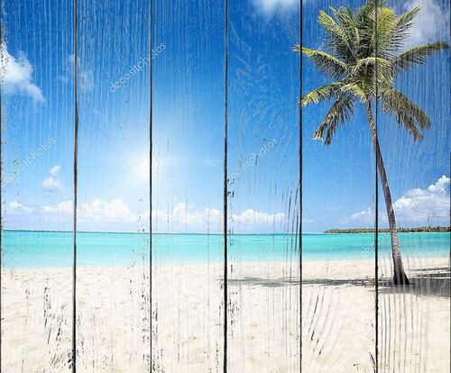 Море и пляж с кокосовой пальмой