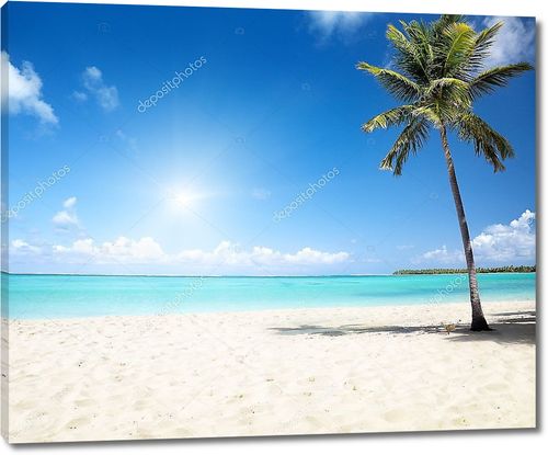 Море и пляж с кокосовой пальмой