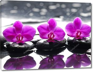 Три цветка орхидеи и  дзен камни