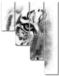 Половина портрета тигра