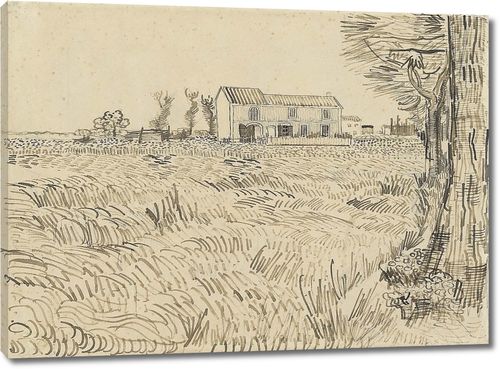 Сельский дом в пшеничном поле