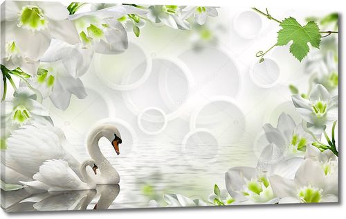 Белые кольца, два лебедя и большие белые цветы