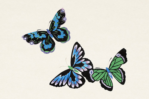 Иллюстрация X из книги Тысяча бабочек