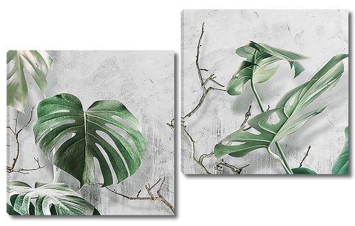 Пальмовые листья на фоне стены
