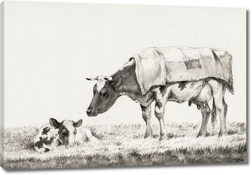 Стоящая корова с лежащим теленком