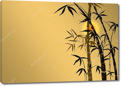 Бамбуковые побеги на закате