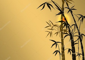 Бамбуковые побеги на закате