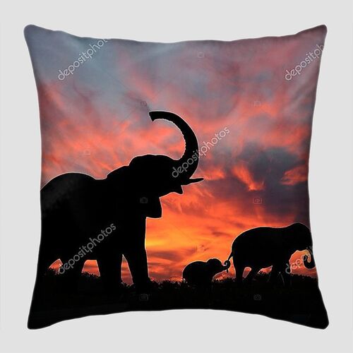 Слоны наслаждаются впечатляющим закатом