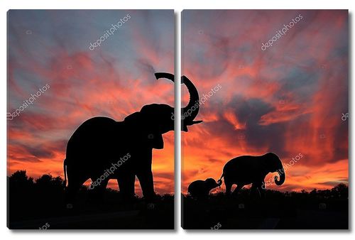 Слоны наслаждаются впечатляющим закатом