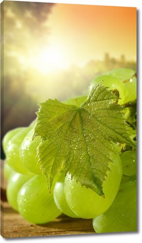 Сочный виноград с листочками