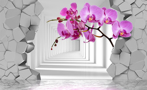 Орхидеи на фоне пролома в стене и белого тоннеля