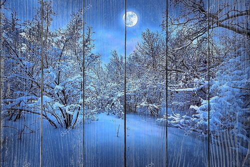Лунная ночь в зимнем лесу