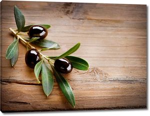 Веточка с черными оливками