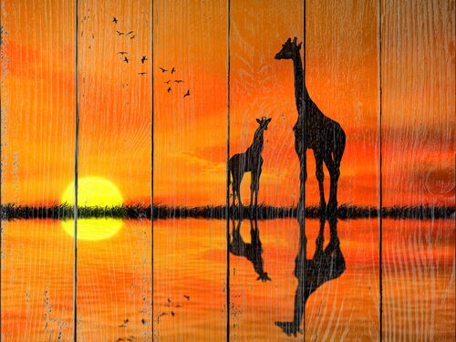 Жирафа и жирафенок
