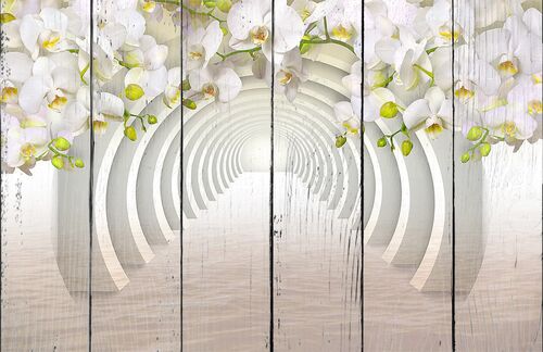 Орхидеи над белым тоннелем из круглых арок