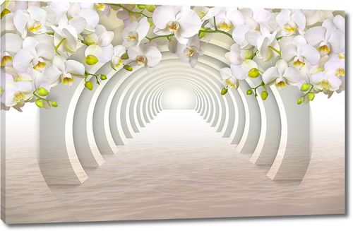 Орхидеи над белым тоннелем из круглых арок