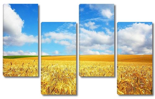 Сельский пейзаж пшеничного поля