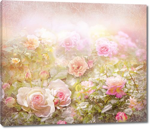 Розовые розы на фоне с размытым горизонтом