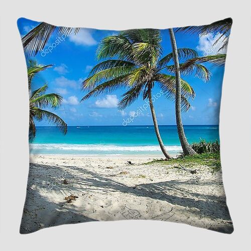 Карибский пляж и пальмовое дерево