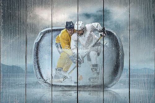Хоккеисты в кубе льда