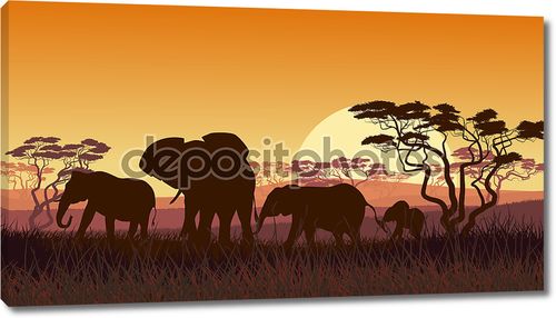 Силуэты диких слонов на фоне заката