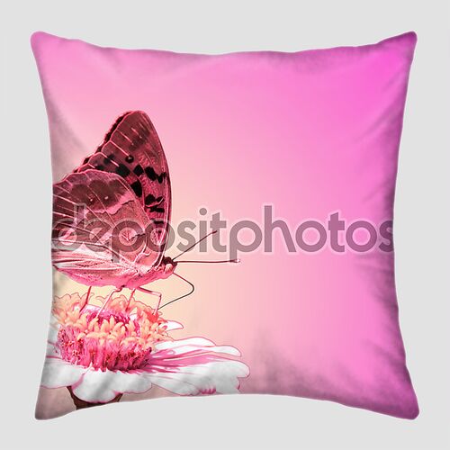 Бабочка на розовом  цветке