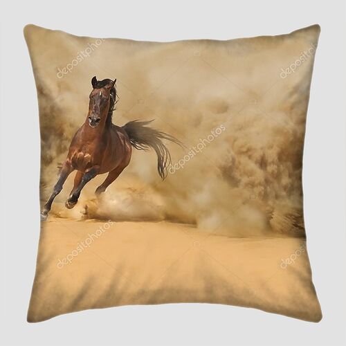 Чистокровный арабский конь в пустыне
