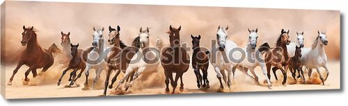 Табун лошадей в песчаной буре