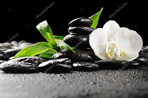 Цветок орхидеи с дзен камнями