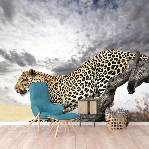 Леопард на фоне пасмурного неба