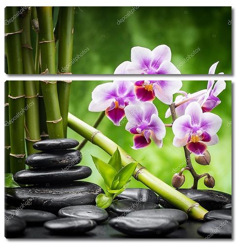 Камни дзэн и орхидея с бамбуком